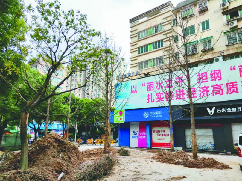 最新吊車網(wǎng)，自然美景之旅與內(nèi)心平靜的探尋