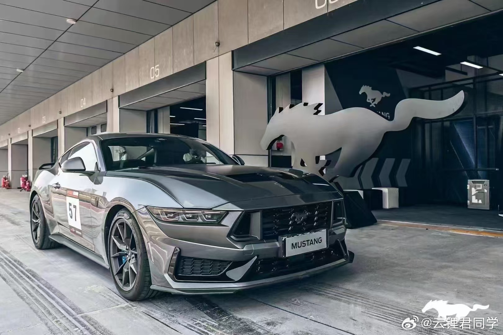 野馬擼最新動(dòng)態(tài)，駕馭變化，自信成就夢(mèng)想之旅