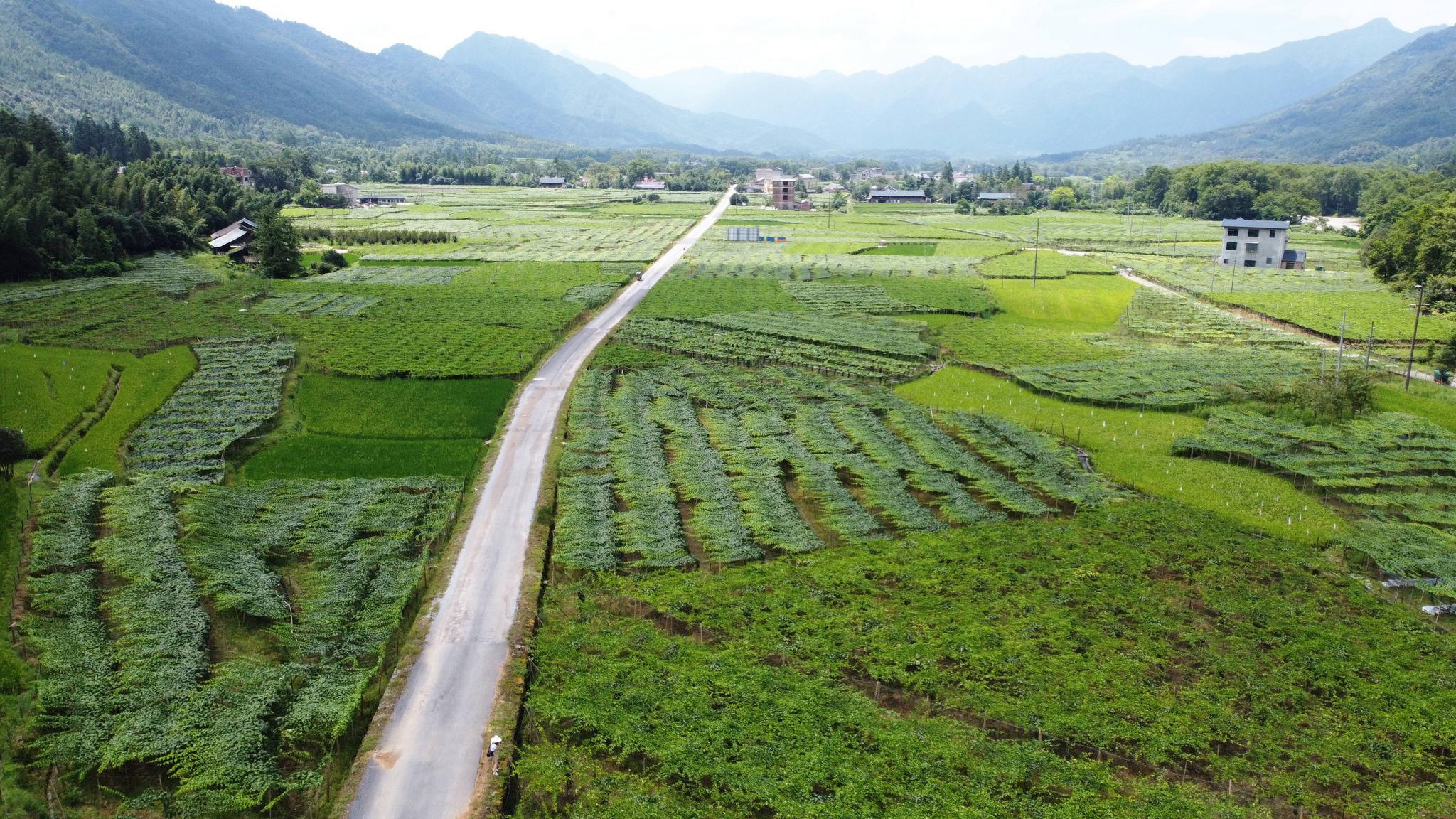 新文村，時(shí)代變遷下的文化繁榮與發(fā)展新篇章