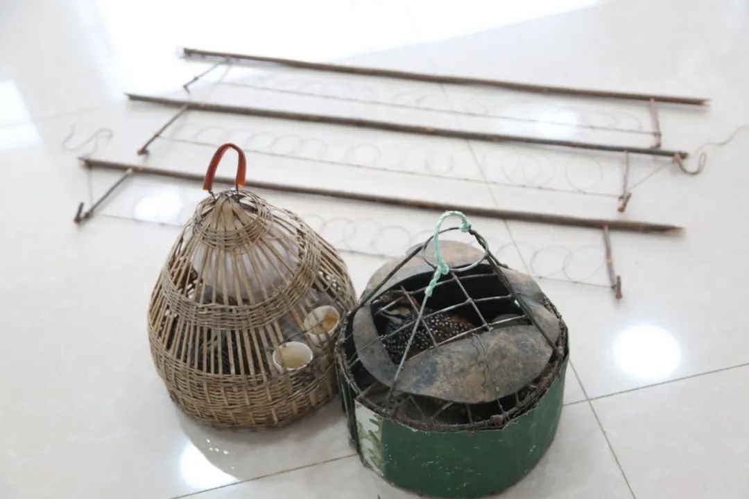 小巷中的神秘寶藏揭秘，最新捕鳥工具揭秘