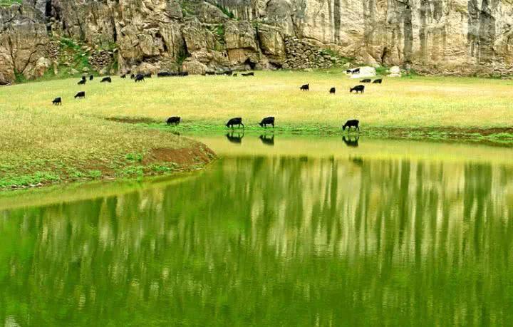 青草最新在線視頻，自然與科技融合之美展現(xiàn)的力量