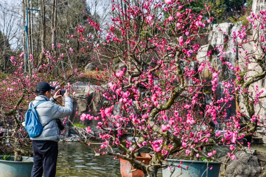 秀麗東方最新動(dòng)態(tài)，啟程探索自然之美，尋找內(nèi)心寧?kù)o之旅