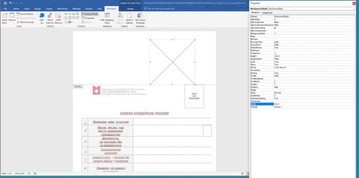 Flash Player官方最新版下載，探索小巷寶藏與特色小店的奇妙之旅