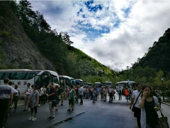 泰順高鐵最新動(dòng)態(tài)更新，最新消息一覽