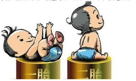 最新雙胞胎補助政策，攜手同行，助力孕育夢想之路