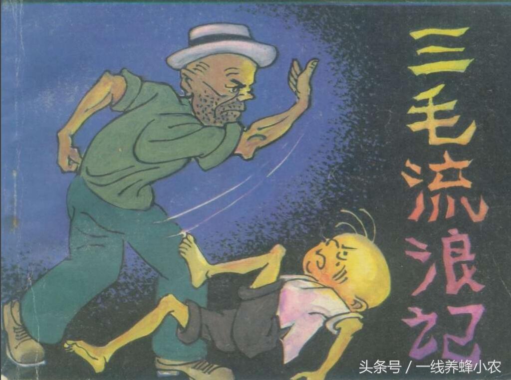 上海三毛最新動態(tài)，自然美景探索之旅啟幕