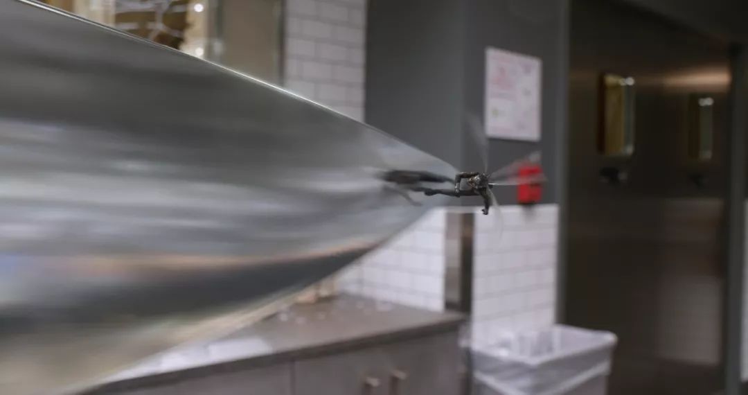 最新電泳技術(shù)，一路向前，學習成就自信之源