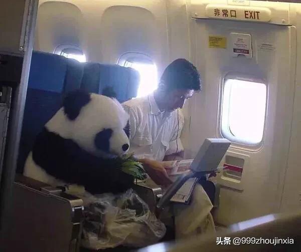 追逐變化之翼，學習鑄就自信與成就——虛幻最新探討