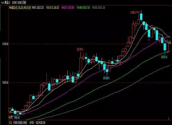 豆油最新行情概覽，市場(chǎng)走勢(shì)分析與未來(lái)展望