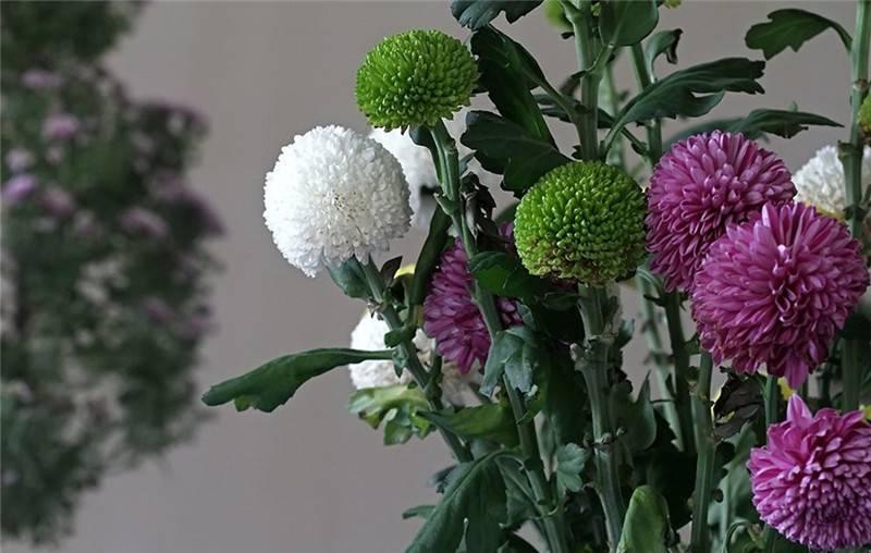 最新娛樂(lè)頭條，躍上成功舞臺(tái)的魔力之旅，自信與成就感的碰撞