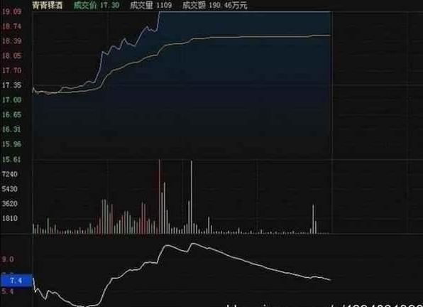 胡立陽最新探索，自然美景的治愈之旅