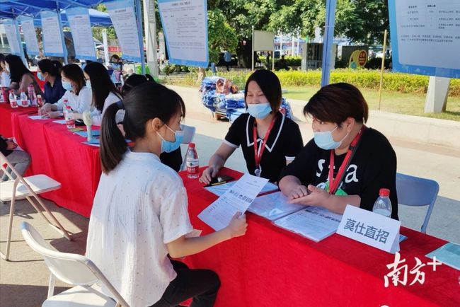 石碣最新招聘動(dòng)態(tài)，把握職業(yè)機(jī)遇，共創(chuàng)美好未來之路