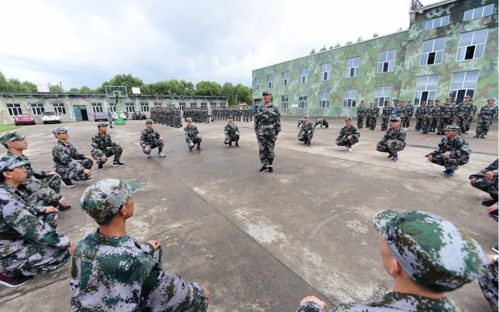 遼寧人才網(wǎng)最新招聘，時代脈搏與人才匯聚的交匯點