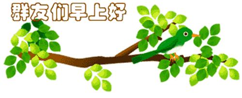 最新清晨祝福短信，晨曦中的溫暖問候，傳遞美好祝愿與關(guān)懷
