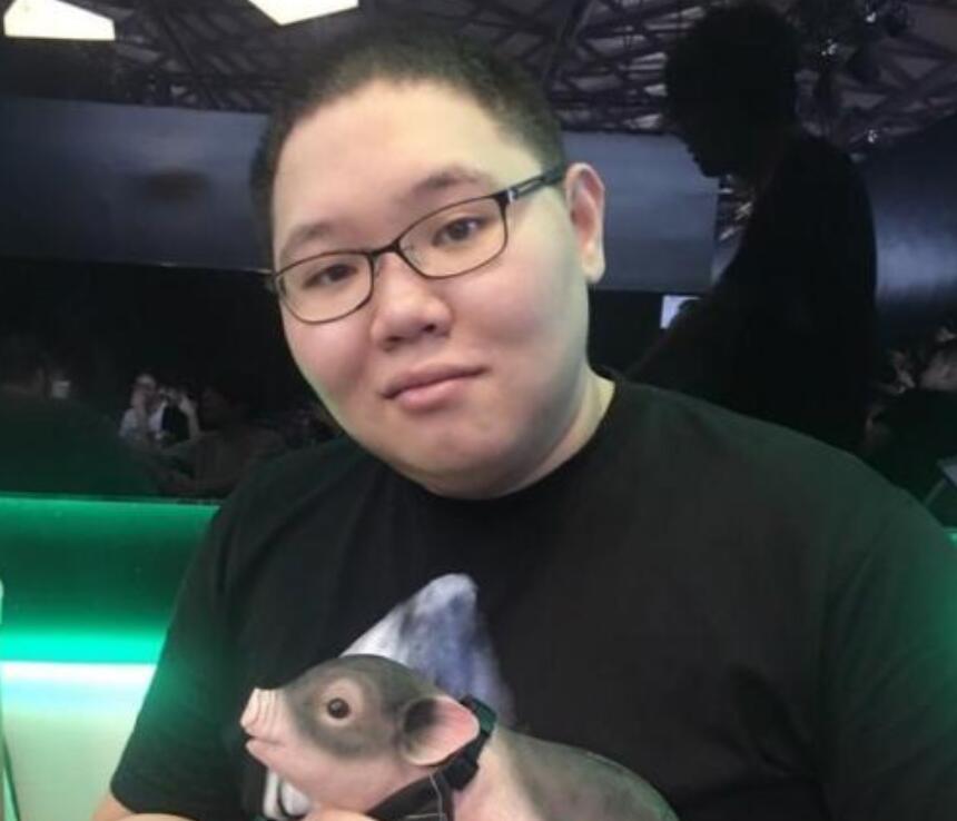 PDD最新直播視頻，直播界的璀璨明星閃耀時(shí)刻