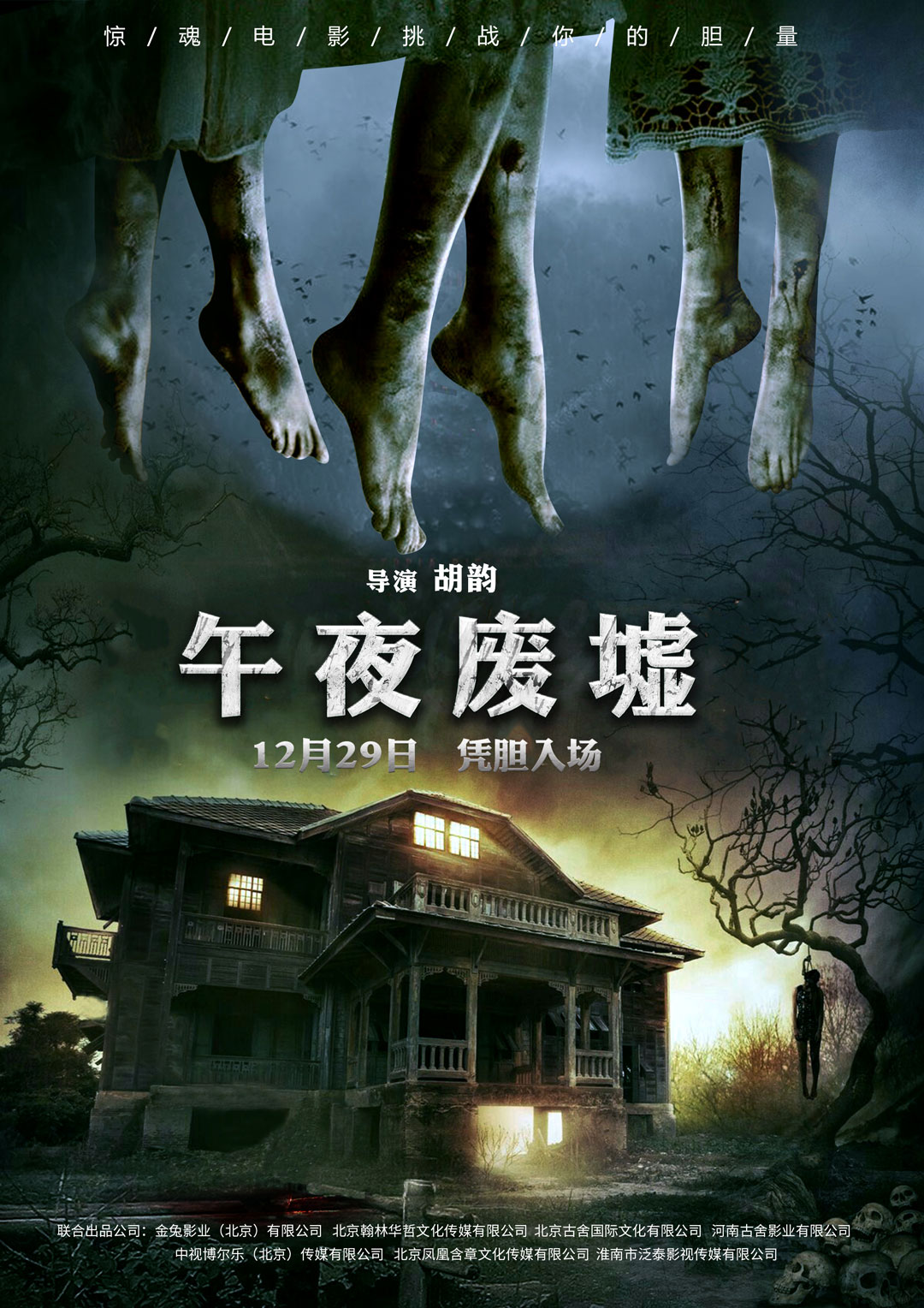 午夜熱門(mén)電影探索，魅力時(shí)刻的探險(xiǎn)之旅