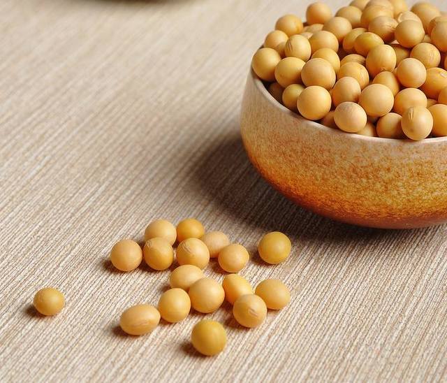 國產(chǎn)大豆最新價(jià)格，時(shí)代的變遷與影響