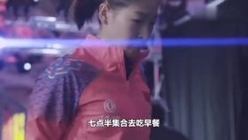 笑斯人最新視頻，日常趣事與友情的紐帶展現(xiàn)！