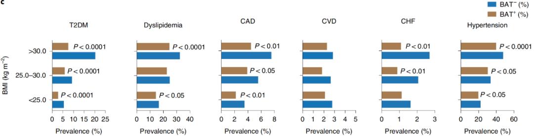 腦疾病最新研究，重塑大腦信心與成就感之路
