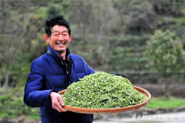 最新夷陵新聞，探索自然美景的旅程，尋覓內(nèi)心平和之地