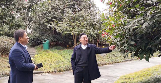 最新花木求購，開啟一場尋綠之旅的溫馨旅程