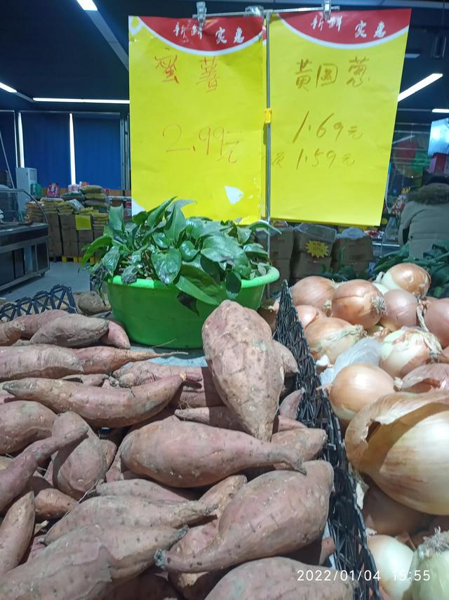 最新地瓜價(jià)格解析，查詢指南與任務(wù)攻略