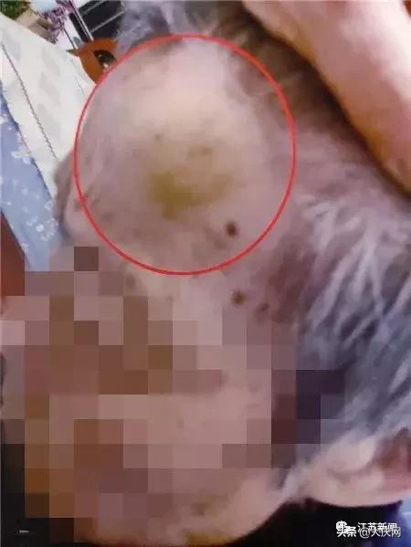 揪脖子最新視頻，探秘小巷風(fēng)情小店，獨(dú)家揭秘！