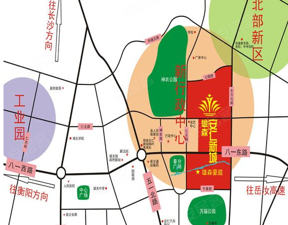 安仁雄森最新動(dòng)態(tài)揭秘，小巷中的隱藏寶藏！