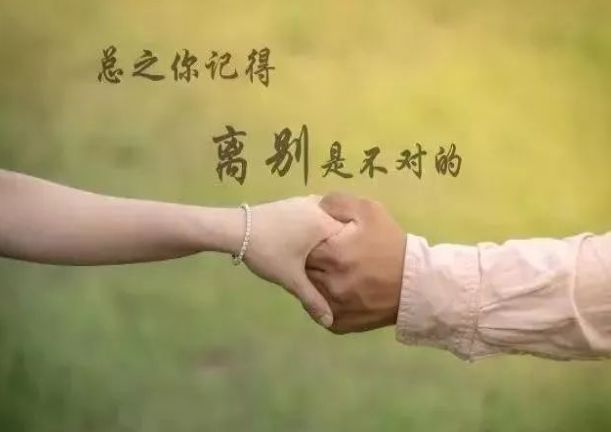 科技新品領(lǐng)略之旅，智能生活的前所未有體驗(yàn)