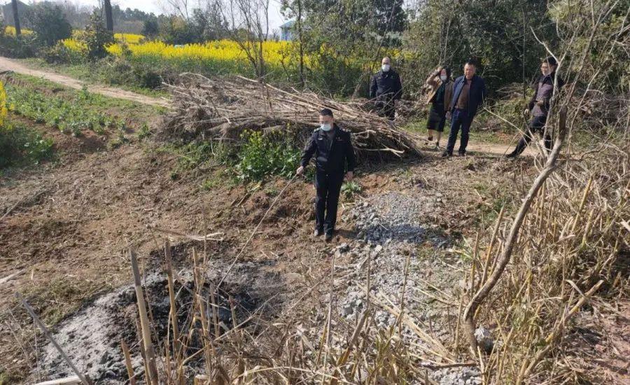 溧陽最新天氣，氣象變遷與地域影響探究