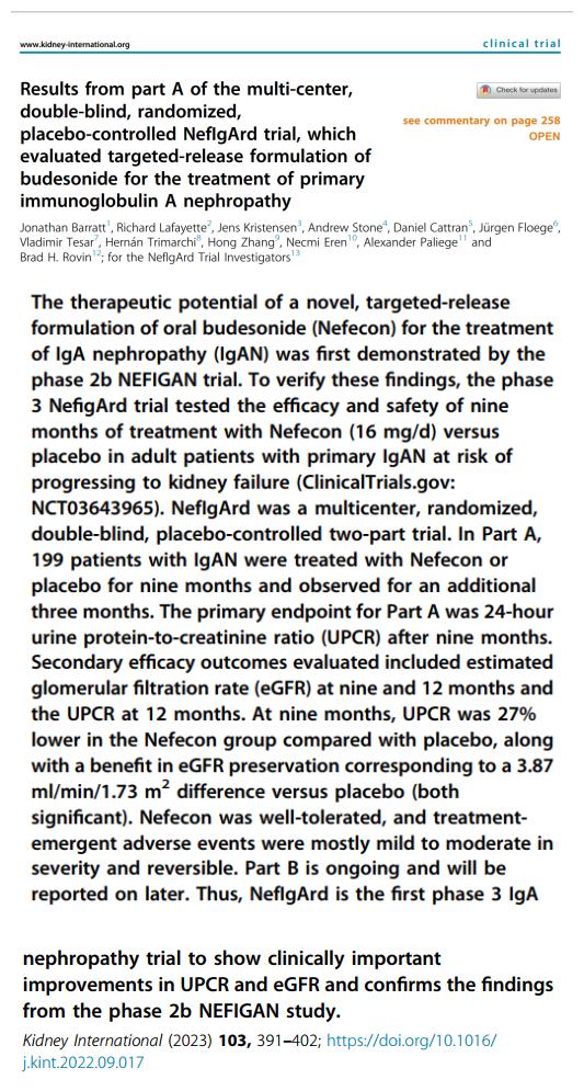 IGA腎病最新突破，醫(yī)學(xué)奇跡在小店中綻放的獨(dú)特魅力