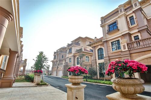 新泰最新樓盤，城市發(fā)展與居住品質(zhì)的新篇章