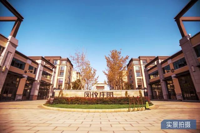 鳳儀莊園最新動態(tài)，家的溫馨與友情的綻放時刻