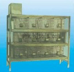 最新式兔籠，打造溫馨舒適的小天地，讓兔子樂享家園！