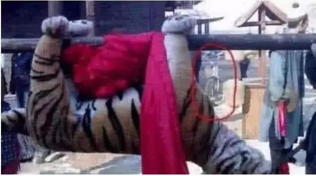 最新打虎消息，探尋內(nèi)心平靜的打虎之旅