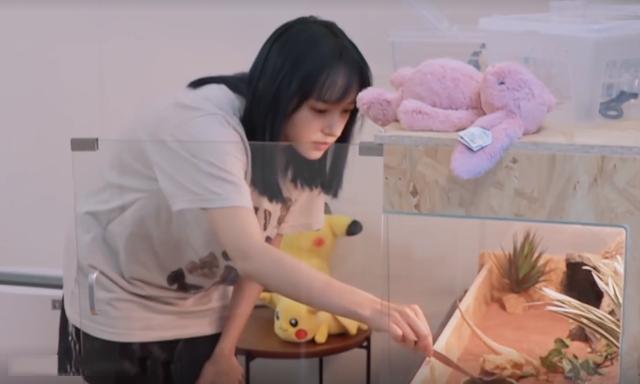 程瀟最新綜藝節(jié)目，心動瞬間，不容錯過！?