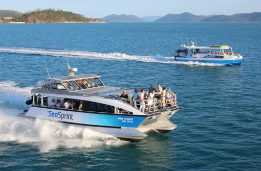 時(shí)代背景下的璀璨星辰，最新號(hào)號(hào)天堂綜述