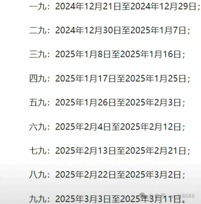 最新久久網(wǎng)2025，友情小船與溫馨日常的交織