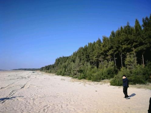 揭秘2025最新臺風路線，提前預警，保障安全無憂