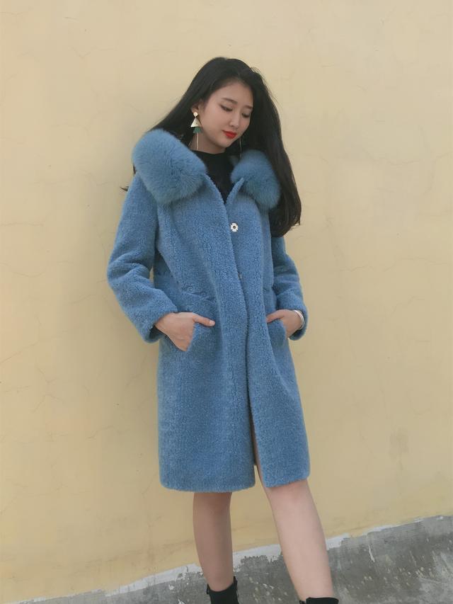 三七花最新價格揭秘，溫馨小故事中的尋找之旅