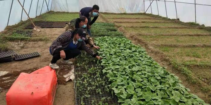 策勒最新招聘啟航人才新篇章，學(xué)習(xí)變化，擁抱自信與成就，啟程人生新征程！