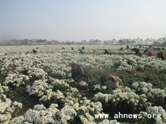 界首最新新聞，學習變革的力量，自信與成就感的融合之路