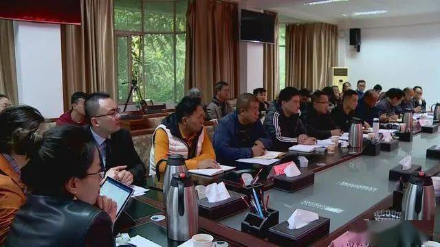 德昌最新新聞，擁抱自然，心靈寧靜之旅啟程