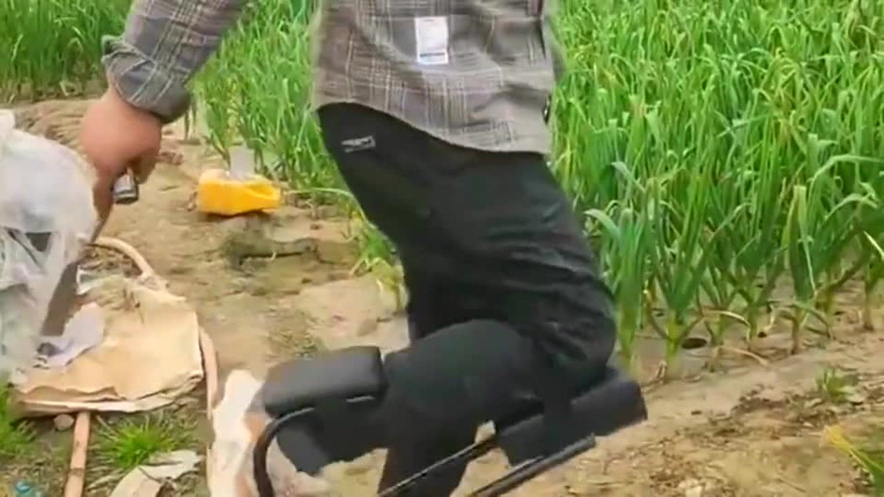 最新挖蒜工具，心靈與自然的完美交融