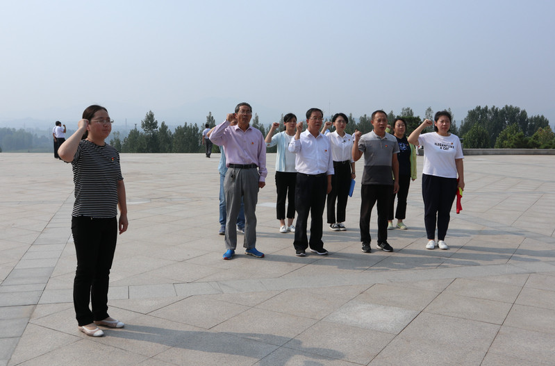 肥城房產(chǎn)最新動(dòng)態(tài)，市場(chǎng)走勢(shì)、熱門(mén)區(qū)域與案例分析