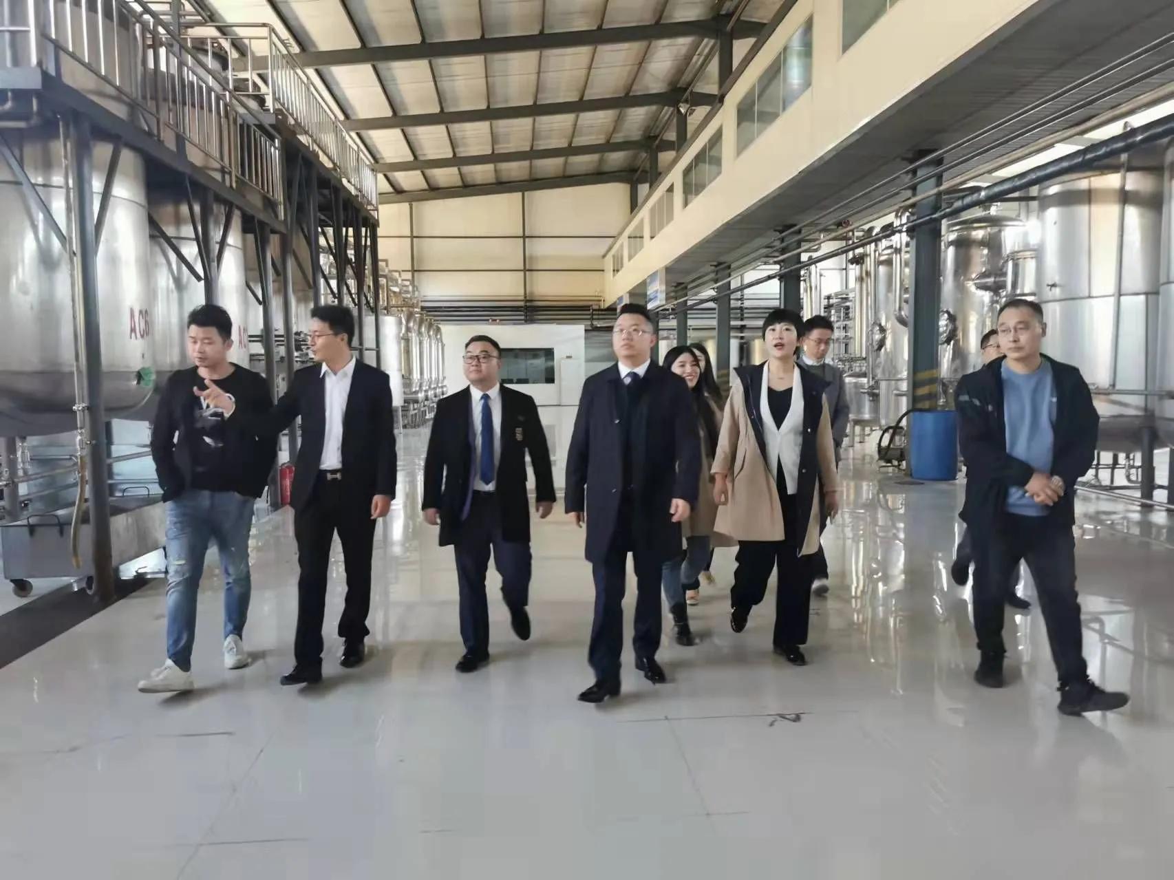 鼎恒升最新動態(tài)，追溯特定領域的發(fā)展歷程與重要地位