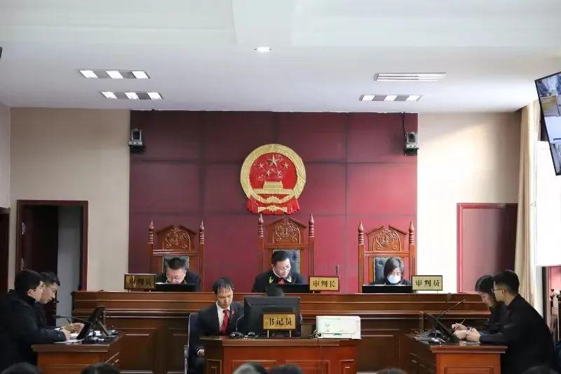 偏關(guān)最新案件深度解析，揭示真相，關(guān)注社會公正與公平