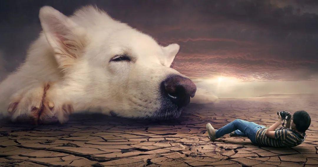 夢境最新研究揭秘，探索人類夢境的奧秘