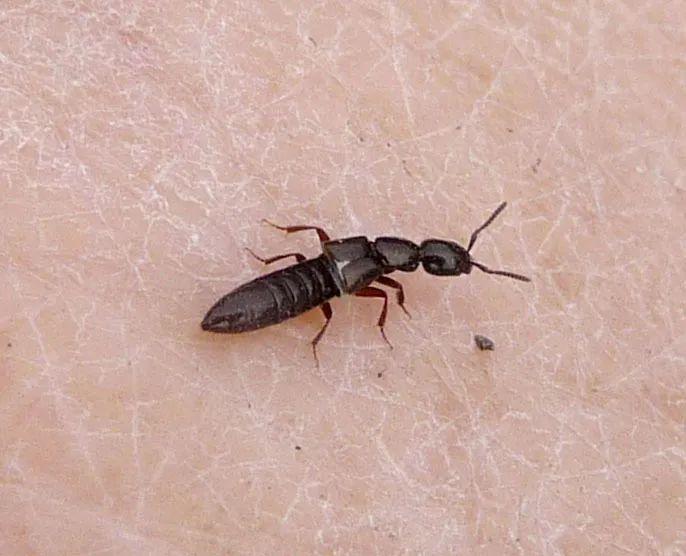 高效應(yīng)對問題關(guān)鍵策略，最新處理方法詳解