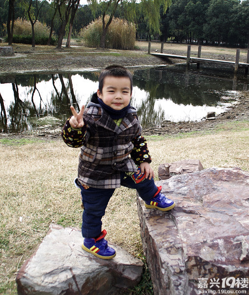 小六最新，時(shí)代背景下的重要印記與事件回顧